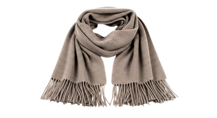 A soft, light gray scarf with fringed ends, perfect for winter warmth and stylish layering. Neutral tone and simple design.