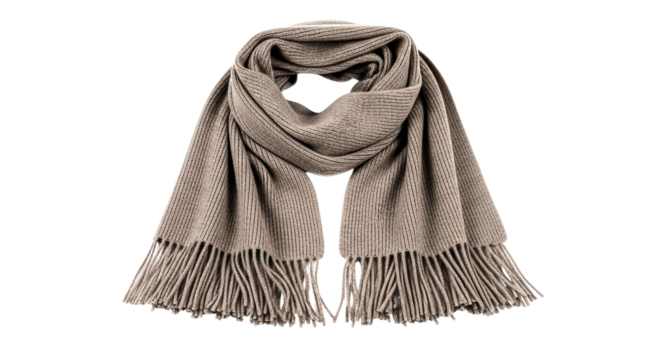 A soft, light gray scarf with fringed ends, perfect for winter warmth and stylish layering. Neutral tone and simple design.
