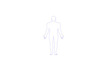 Obraz premium Human body diagram