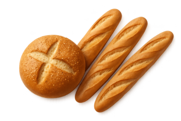 Round bun with cross cut beside three slender, crusty baguette loaves