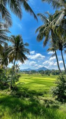 Fototapeta premium Lush green rice field scene framed by palm trees, mountains, and a blue sky