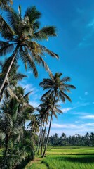 Obraz premium Tall palm trees against a brilliant blue sky, framing a vibrant green field