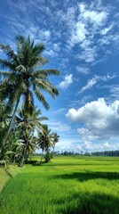 Fototapeta premium Lush tropical scene of palm trees over a bright green rice paddy under a cloudy sky