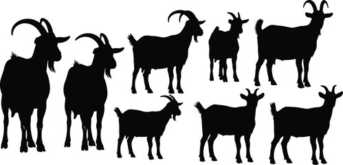Farm goat silhouettes collection, livestock animals with curved horns, standing and grazing poses, agricultural farming, black and white vector illustration set for rural themes.