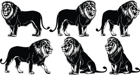 Majestic lion silhouettes collection, powerful male lions with manes in various poses, standing and sitting, wildlife African animal, black and white vector illustration set.