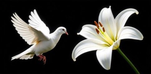 Fototapeta premium Dove of Peace Descending Upon a Blooming Lily A white dove descending towards a large white lily in full bloom. No people. A white dove descends gently