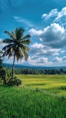 Fototapeta premium Tropical landscape with palm tree, rice fields, blue sky, and clouds