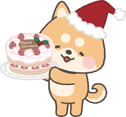 クリスマスケーキを持って微笑む茶色の柴犬