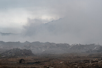 Fototapeta premium Fire at a household waste dump. Environmental pollution. Levoberezhny garbage dump. Poisonous substances of dioxins enter the air. July 2021 Novosibirsk russia
