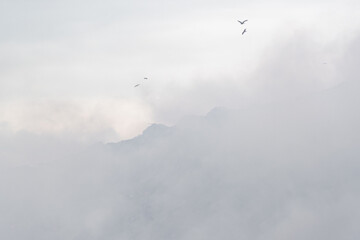 Fire at a household waste dump. Environmental pollution. Levoberezhny garbage dump. Poisonous substances of dioxins enter the air.  July 2021 Novosibirsk russia