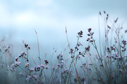 soft meadow scene with balanced composition in muted tones creating a serene gentle meditative nature mood