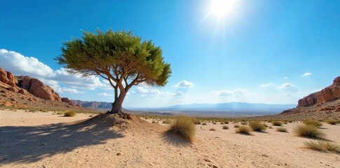 Desert Landscape with Acacia Tree A wide shot of a vast African desert landscape under a bright, sun drenched sky. A single, iconic acacia tree stands prominently in the foreground. No people or any