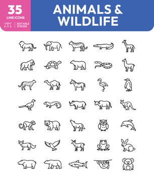 Collection of thirtyfive animal and wildlife line icons with editable stroke