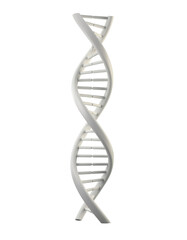 Elegant DNA Helix Structure Isolated on Transparent Background for Scientific and Educational Use