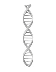 Three Dimensional Representation of DNA Double Helix Structure in Transparent Background
