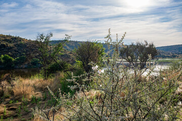 Paysage au printemps en namibie