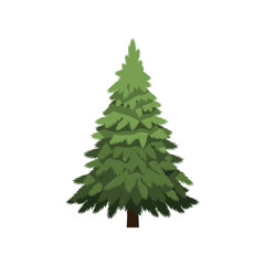 Fototapeta premium A stylized illustration of a tall green coniferous tree with dense foliage and a brown trunk.