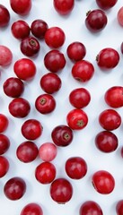 Studio shot of evenly distributed ripe coffee beans on a white background. Clean light emphasizes the rich red tones.