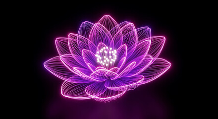 Stylized glowing purple lotus flower with light particles on dark background spiritual wellbeing. Flower glowing effect abstract , rose glowing light effect. 