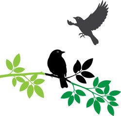 Silhouette of birds, one flying and one perched on a branch