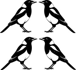 Four magpies silhouetted in black and white on a white background