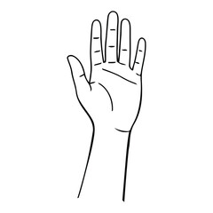 Simple Open Hand Showing Palm Forward for Stop or Hello Gesture