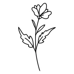 Elegant Botanical Single Wildflower Bloom Stem with Leaves Line Art