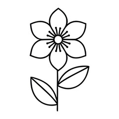 Elegant Five Petal Flower with Detailed Center Botanical Line Art Illustration