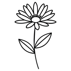 Daisy Style Flower Outline Botanical Drawing with Multiple Petals and Leaves