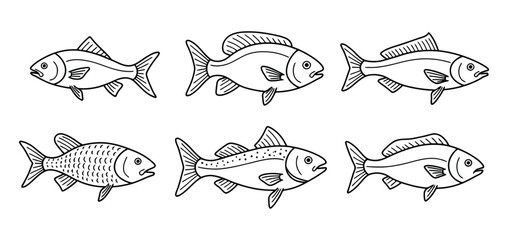 Diverse Collection of Six Outline Fish Drawings Representing Various Species