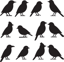 Collection of diverse bird silhouettes in black, featuring various small species in different poses, isolated for design usage.