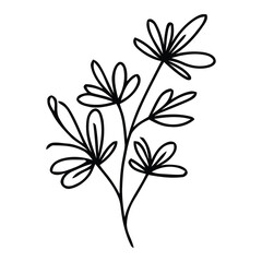 Artistic Botanical Black Outline Illustration of Multi-Flowered Branch Design