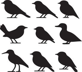 Collection of various black bird silhouettes, including different species, isolated for nature and wildlife design projects