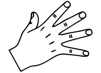 Human Hand Gesture Detailed Line Art Sketch Drawing Illustration