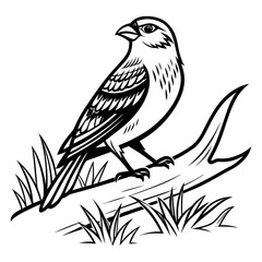 bird on a branch