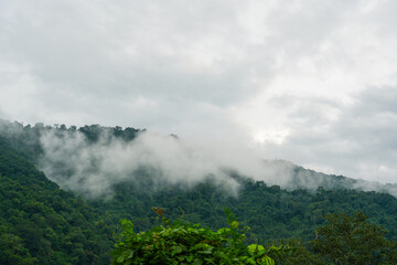 Fototapeta premium View of the mist after a rain in Khao Yai, Nakhon Ratchasima, Thailand