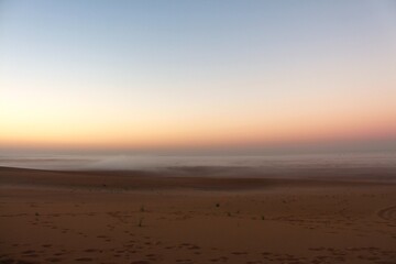 Foggy morning in the desert