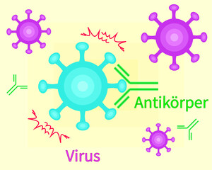 Antibodies neutralize viruses german