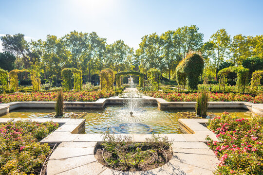 Rosaleda, the rose garden located in Retiro Park in Madrid, Spain