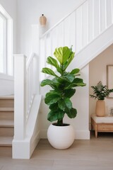 Fototapeta premium A bright, airy interior with a large potted plant near a staircase