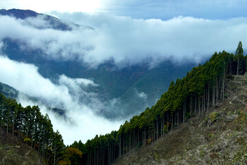 日本周遊　霧の中の別子の山々