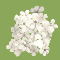 Images about Frames, Copy Space, Design.