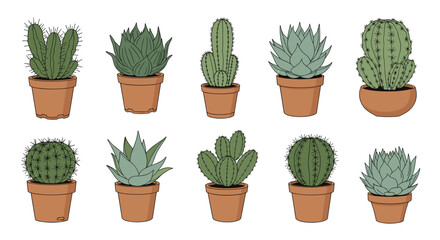 Fototapeta premium A collection of ten potted cacti and succulents in terracotta pots, arranged in a grid pattern, showcasing diverse shapes and textures of desert plants.