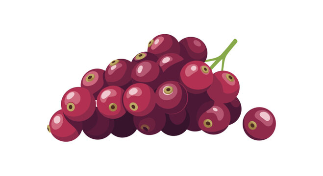 A vibrant cluster of ripe, dark red grapes with a single grape detached, showcasing a healthy and delicious fruit harvest for snacking or winemaking.