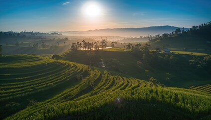 Obraz premium Aerial View of Layered Rice Paddy Fields, showcasing the impact of agricultural practices