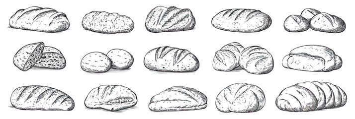 Hand drawn sketch bread loaf set including sourdough baguette ciabatta buns and rolls vintage rustic bakery products collection vector illustration