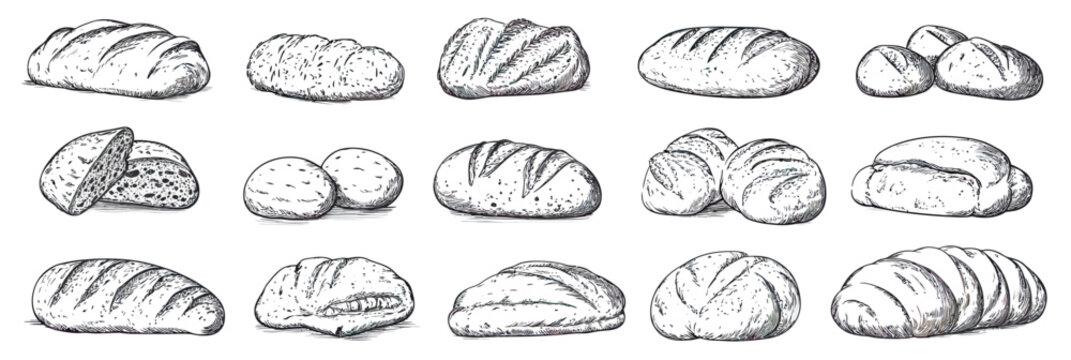 Hand drawn sketch bread loaf set including sourdough baguette ciabatta buns and rolls vintage rustic bakery products collection vector illustration