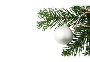 Close-up Christmas fir branch with white decor ball enhancing festive charm.