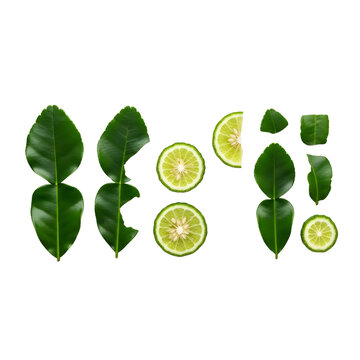 Fresh kaffir lime leaves (daun limau purut) composition lay flat, top view, sliced pieces, isolated on transparent background