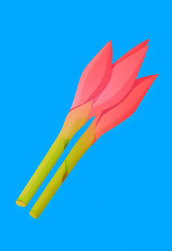 Kantan flower/bunga kantan malaysian cooking ingredients